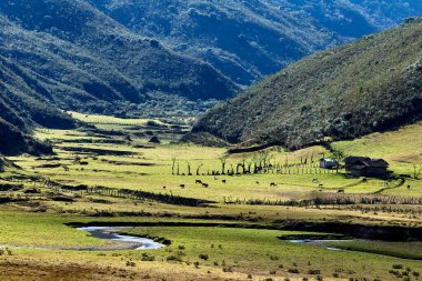 Amazonas 'taki Huaylla Beln Vadisi geniş ve nefes kesici. Peru, And Dağları' nın ve gökyüzünün sessiz bir uyum içinde buluştuğu otlakların ve suların yumuşak kıvrımlarında açılır..