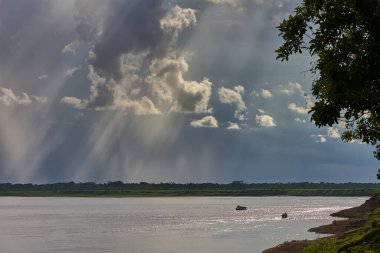 Bitmez tükenmez ormanlarda ve aynalı sularda, kudretli Maran Nehri Pacaya Samiria 'nın kalbine hayat ve gizem getirir..