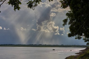 Bitmez tükenmez ormanlarda ve aynalı sularda, kudretli Maran Nehri Pacaya Samiria 'nın kalbine hayat ve gizem getirir..