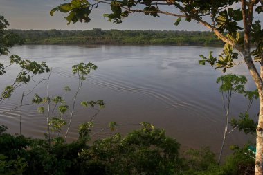 Bitmez tükenmez ormanlarda ve aynalı sularda, kudretli Maran Nehri Pacaya Samiria 'nın kalbine hayat ve gizem getirir..