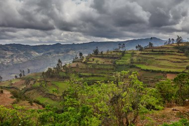 La Jalca Grande, Amazonas, Peru yakınlarındaki tarlalar ve tarlalar çiftçiler tarafından şekillendirilmiş, antik And tarım geleneklerini yansıtan canlı bir manzara.