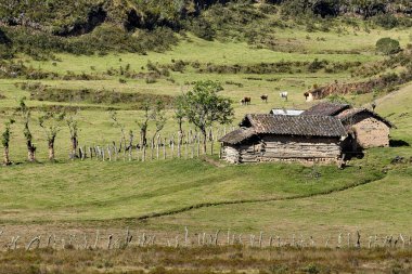 Amazonas 'taki Huaylla Beln Vadisi geniş ve nefes kesici. Peru, And Dağları' nın ve gökyüzünün sessiz bir uyum içinde buluştuğu otlakların ve suların yumuşak kıvrımlarında açılır..