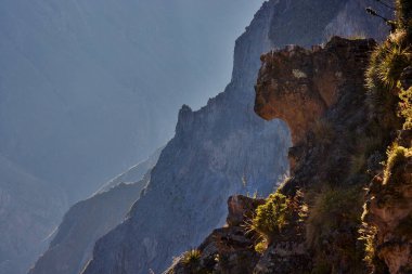 Etkileyici Colca Kanyonu dramatik uçurumlar ve derin vadiler şeklinde yüzyıllardır akan su ve yer değiştiren toprak tarafından oyulmuştur. Büyük Kanyon 'un iki katı derinlikte.