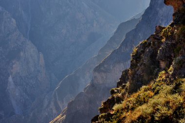 Etkileyici Colca Kanyonu dramatik uçurumlar ve derin vadiler şeklinde yüzyıllardır akan su ve yer değiştiren toprak tarafından oyulmuştur. Büyük Kanyon 'un iki katı derinlikte.