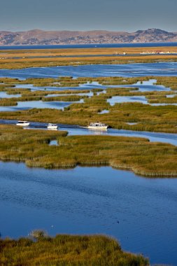 Sakin sular, Titicaca Gölü 'ndeki altın kamışların arasından yüzen Uros Adaları' na giden teknelere rehberlik eder. Andean Platosu 'nda sonsuz bir yaşam manzarası.