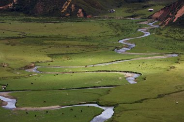Amazonas 'taki Huaylla Beln Vadisi geniş ve nefes kesici. Peru, And Dağları' nın ve gökyüzünün sessiz bir uyum içinde buluştuğu otlakların ve suların yumuşak kıvrımlarında açılır..