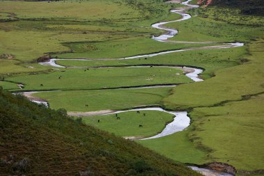 Amazonas 'taki Huaylla Beln Vadisi geniş ve nefes kesici. Peru, And Dağları' nın ve gökyüzünün sessiz bir uyum içinde buluştuğu otlakların ve suların yumuşak kıvrımlarında açılır..