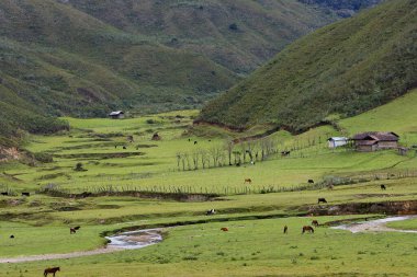 Amazonas 'taki Huaylla Beln Vadisi geniş ve nefes kesici. Peru, And Dağları' nın ve gökyüzünün sessiz bir uyum içinde buluştuğu otlakların ve suların yumuşak kıvrımlarında açılır..