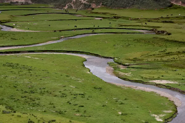 Amazonas 'taki Huaylla Beln Vadisi geniş ve nefes kesici. Peru, And Dağları' nın ve gökyüzünün sessiz bir uyum içinde buluştuğu otlakların ve suların yumuşak kıvrımlarında açılır..