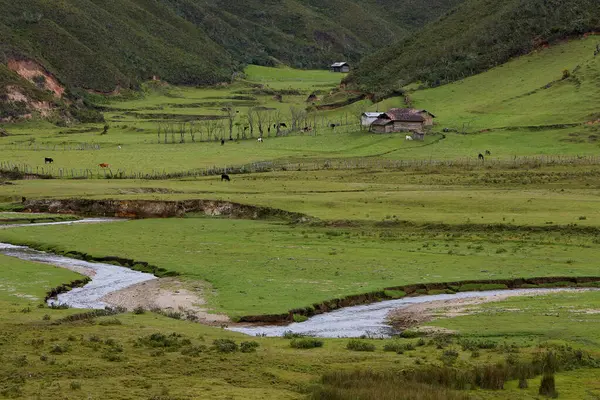 Amazonas 'taki Huaylla Beln Vadisi geniş ve nefes kesici. Peru, And Dağları' nın ve gökyüzünün sessiz bir uyum içinde buluştuğu otlakların ve suların yumuşak kıvrımlarında açılır..