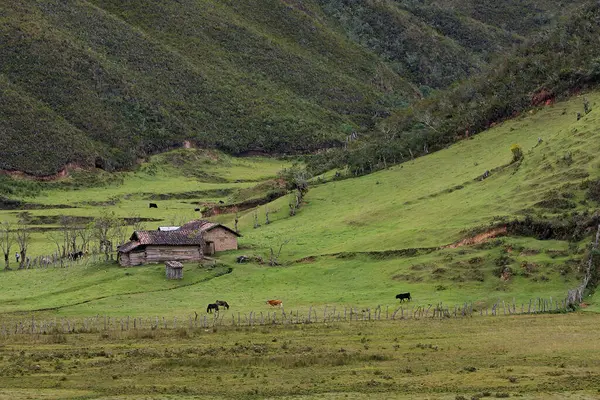 Amazonas 'taki Huaylla Beln Vadisi geniş ve nefes kesici. Peru, And Dağları' nın ve gökyüzünün sessiz bir uyum içinde buluştuğu otlakların ve suların yumuşak kıvrımlarında açılır..