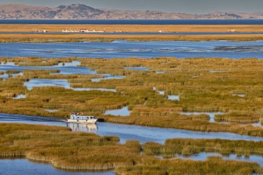 Sakin sular, Titicaca Gölü 'ndeki altın kamışların arasından yüzen Uros Adaları' na giden teknelere rehberlik eder. Andean Platosu 'nda sonsuz bir yaşam manzarası.