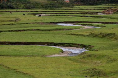 Amazonas 'taki Huaylla Beln Vadisi geniş ve nefes kesici. Peru, And Dağları' nın ve gökyüzünün sessiz bir uyum içinde buluştuğu otlakların ve suların yumuşak kıvrımlarında açılır..