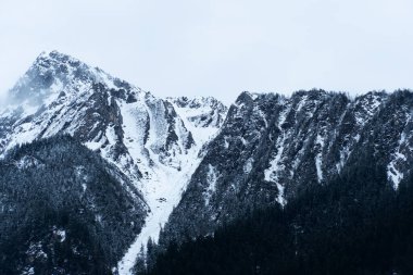 Siyah kayalık yüksek dağ, beyaz karlı doğal orman.