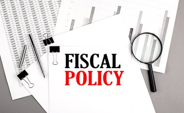 FISCAL POLICY metin grafiksel arkaplan üzerine