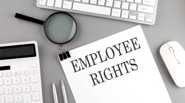 Ofis araçları ve gri arkaplanda klavye ile kağıda yazılmış EMPLOYEE hakları