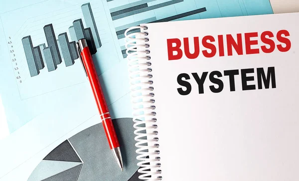 Текст Business System Блокноте Ручкой Фоне Графика — стоковое фото