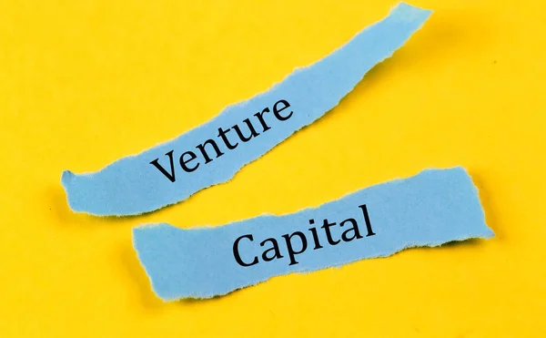 Venture Capital Market Dynamics