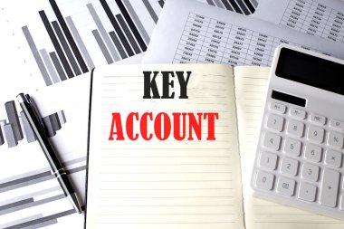 Çizelge ve diyagramda deftere yazılmış KEY ACCOUNT metni