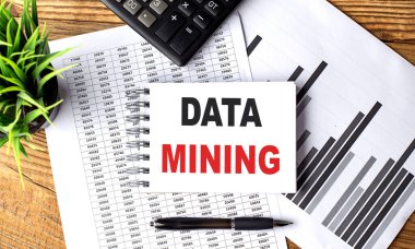 Çizelge ve hesap makinesiyle DATA Mining metni