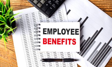 EMPLOYEE BENEFITS metin üzerinde grafik ve hesap makinesi ile