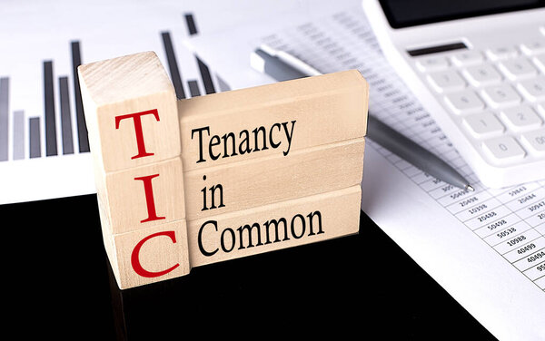 Word TIC TENANCY IN COMMON made with wood building blocks, business
