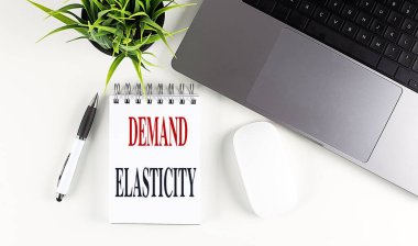Dizüstü bilgisayarı, faresi ve kalemi olan bir dizüstü bilgisayarda DEMAND ELASTİTESİ metni . 
