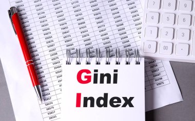 Çizelgesi, kalemi ve hesap makinesi olan bir defterde GINI INDEX metni. 