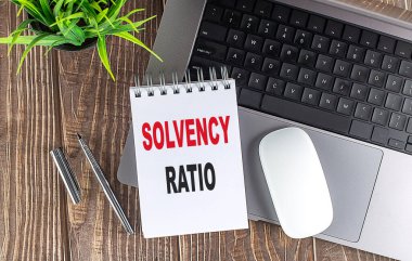 Dizüstü bilgisayarı, faresi ve kalemi olan bir dizüstü bilgisayarda SOLVENCY RATIO metni . 