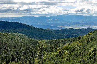 Yoğun yeşil bir ormanın engin manzarası uzak dağları ve arka planda parçalı bulutlu gökyüzünü saran yuvarlanan tepeler boyunca uzanır. 