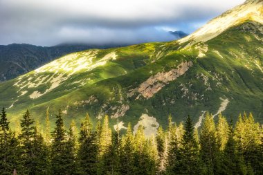 Güneşli yeşil dağ yamacında kayalık bir arazi ve bulutlu bir gökyüzünün altında yüksek ağaçlardan oluşan bir orman var. . 