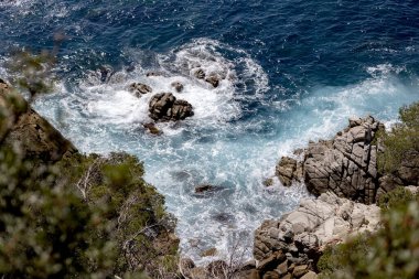 Kıyı bitkileriyle çevrili engebeli kayalara çarpan köpüklü turkuaz deniz dalgalarının üst görüntüsü. . 
