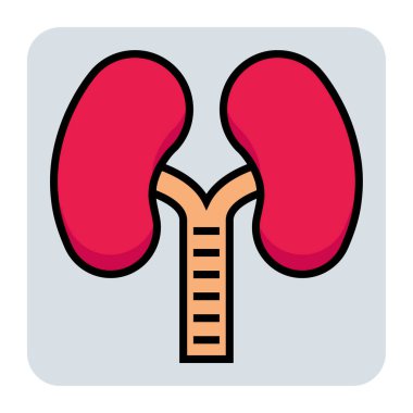 Ciğerler için doldurulmuş renk özeti simgesi.