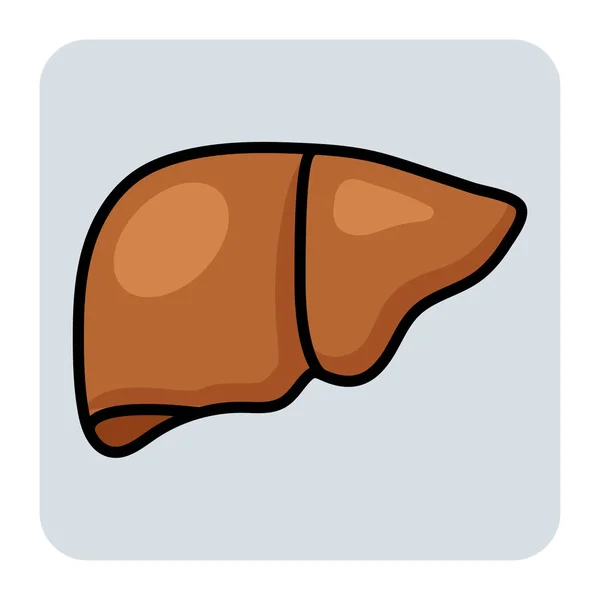 Ícone Contorno Cor Preenchido Para Fígado — Vetor de Stock