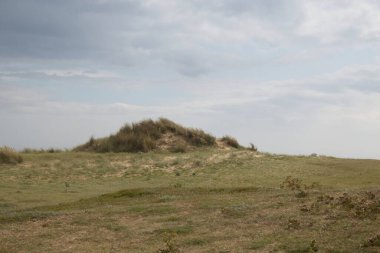 Ağaçlı ve bulutlu manzara