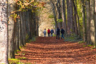 Parkta yürüyen insanlar.