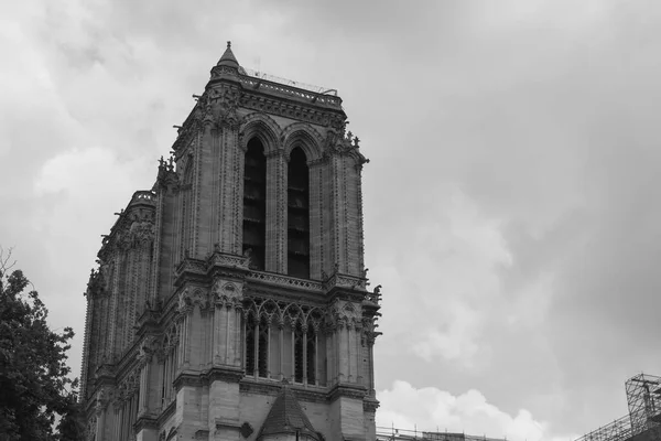 Katedrála Notre Dame Paris — Stock fotografie