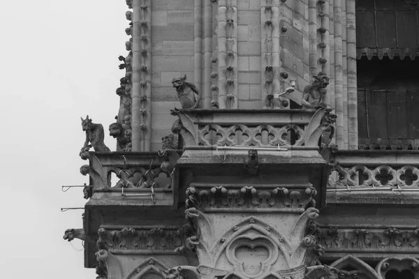Catedral Notre Dame Paris — Foto de Stock
