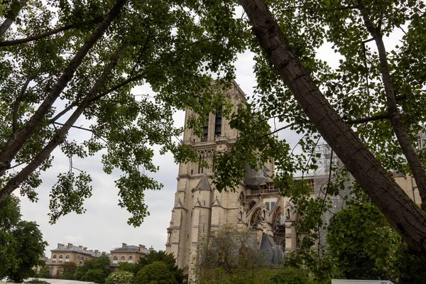 Notre Dame Paris Katedrális — Stock Fotó