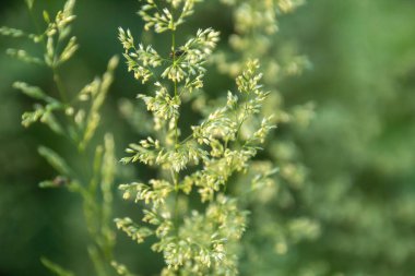 Bir fabrikanın yakınında.