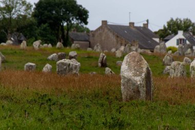 Sabahleyin menhirlerin hizalanması