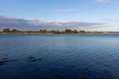 Deniz kıyısının manzarası