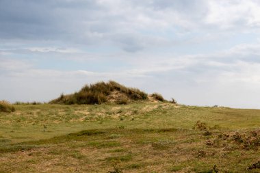Ağaçlı ve bulutlu manzara