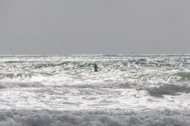 Sahilde uçurtma sörfü