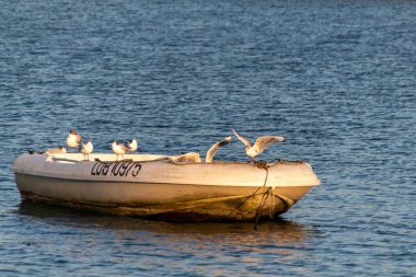 Denizde bir balıkçı teknesi