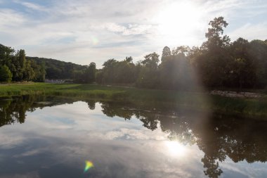 Göldeki ağaçların yansıması