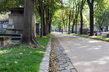 Parktaki yol