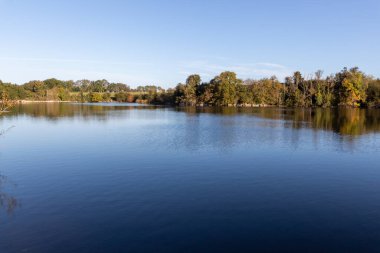 Göldeki ağaçların yansıması