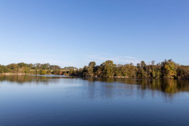 Göldeki ağaçların yansıması