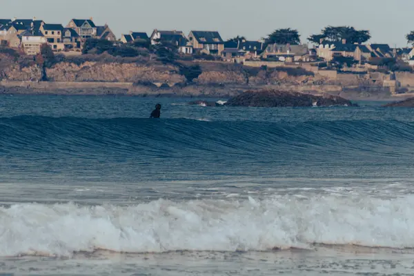 Kışın sahilde günbatımı
